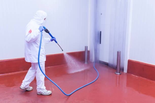 Trusted North Bay Village, FL Pressure Washing Services Experts